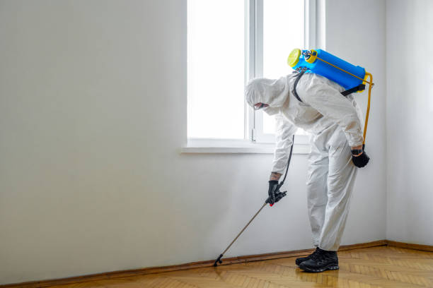 Best Flea Control Services  in Vanceburg, KY