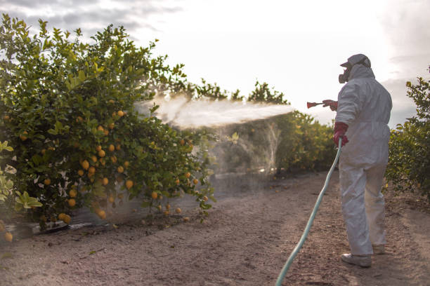 Best Cockroach Control Services  in Vanceburg, KY