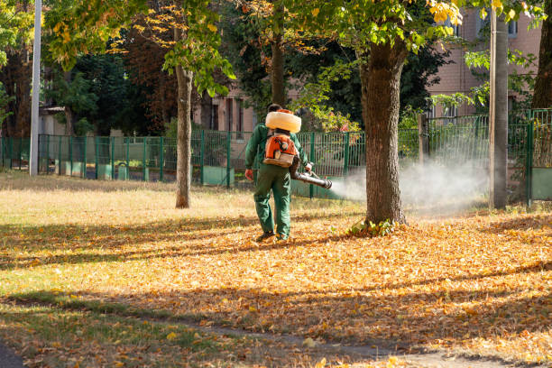 Best Pest Inspection Near Me  in Vanceburg, KY