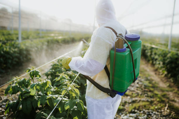 Best Ant Control Services  in Vanceburg, KY